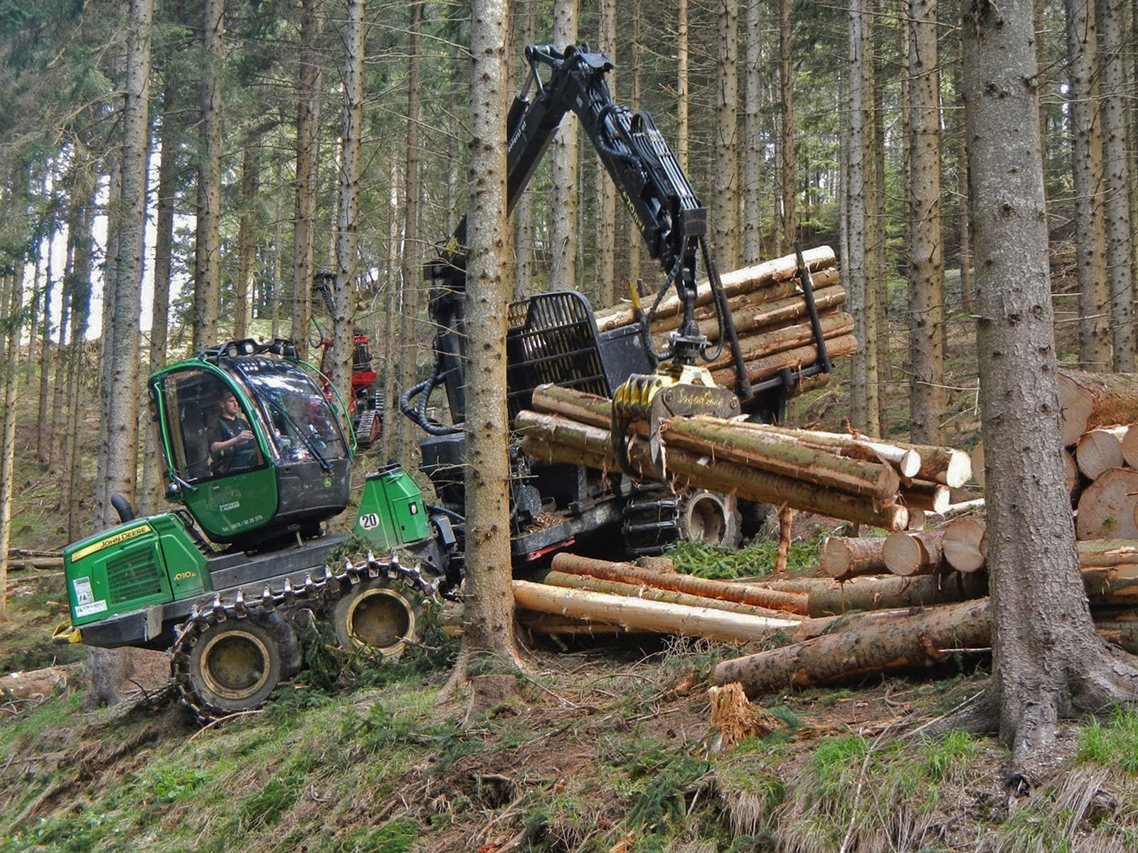 Waldwirtschaft für Einsteiger - Praxis