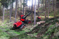 harvester-waldbaden-dinges