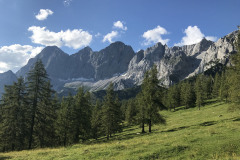 ramsau-dinges-waldbaden-laerchen