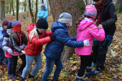 wald-camp-geburtstag-dinges-blinde-karavane