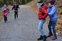 wald-projekttage-dinges-spiele-lernen