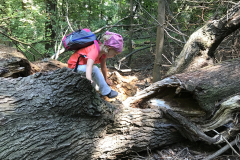 walld-entdecken-dinges-sommercamp-sportcamp