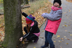 wald-geburtstag-dinges-spiele-tasten