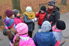 wald-geburtstag-dinges-waldspiele